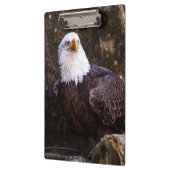 Bald Eagle Klembord (Links)