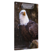 Bald Eagle Klembord (Rechts)