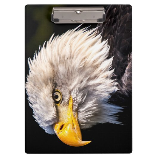 Bald Eagle Klembord (Voorkant)