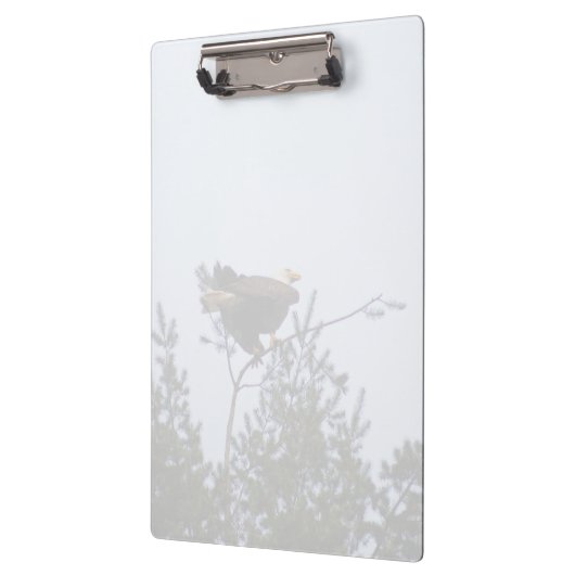 Bald Eagle Klembord (Links)