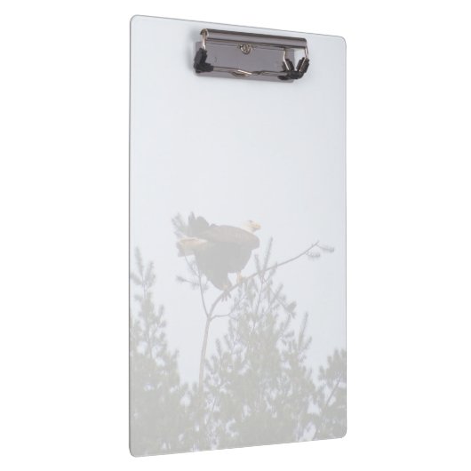 Bald Eagle Klembord (Rechts)