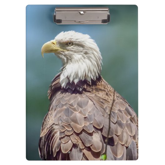 Bald Eagle-klembord Klembord (Voorkant)