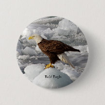 Bald Eagle-knop