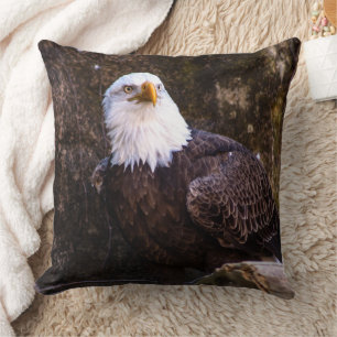 Bald Eagle Kussen