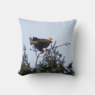 Bald Eagle Kussen