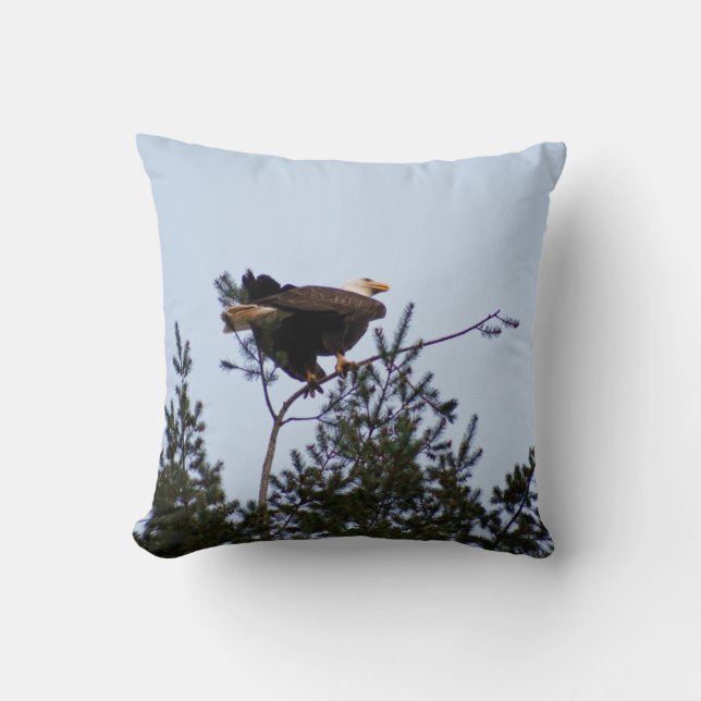 Bald Eagle Kussen (Voorkant)
