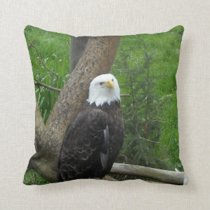 Bald Eagle Kussen