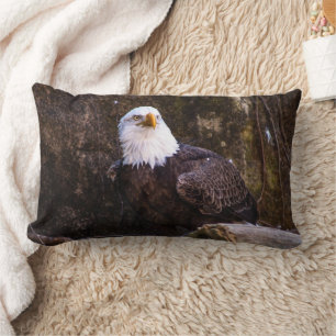 Bald Eagle Kussen