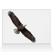 Bald Eagle, laat ons Lunch (Binnen Horizontaal (Boven))