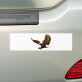 Bald Eagle Landing Bumpersticker (Op auto)