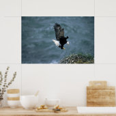 Bald Eagle Landing on Nest Poster (Keuken)