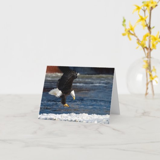 Bald Eagle Landing op het ijs Groet Kaart (Gele Bloem)