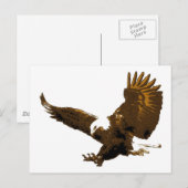 Bald Eagle Landing Post Kaarten (Voorkant / Achterkant)