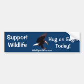 BALD EAGLE Landing Wildlife Support Bumpersticker (Voorkant)