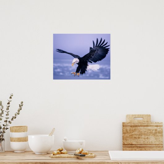 Bald Eagle Landing Wings, verspreid in een Storm, Poster (Keuken)