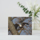 Bald Eagle Launch Briefkaart (Staand voorkant)