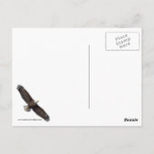 Bald Eagle Launch Briefkaart (Achterkant)