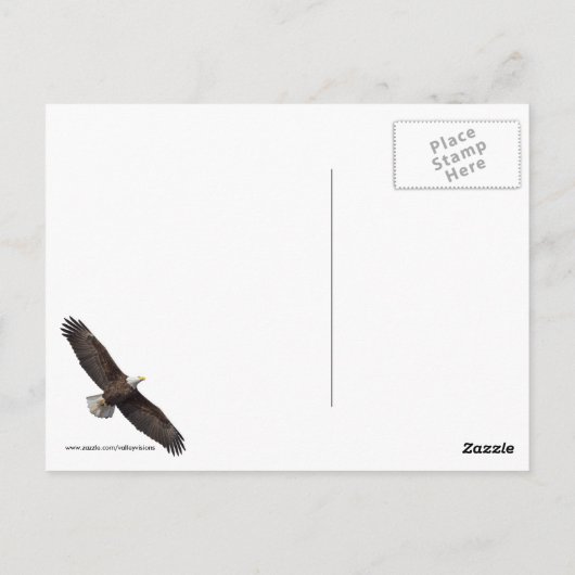 Bald Eagle Launch Briefkaart (Achterkant)