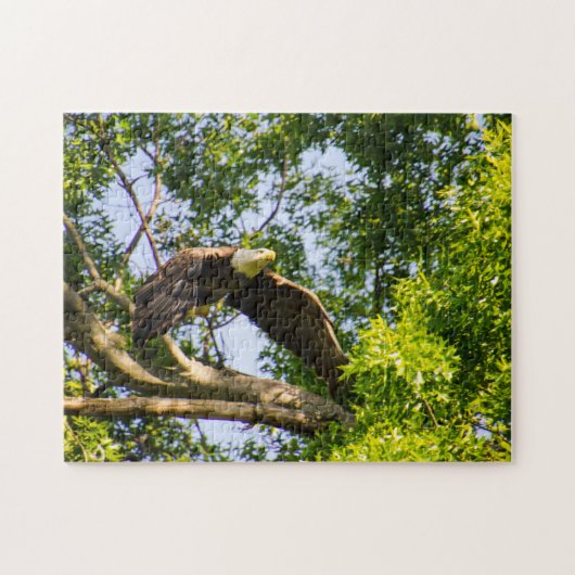 Bald Eagle Launch Legpuzzel (Horizontaal)