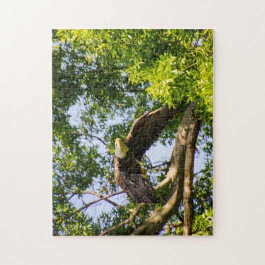 Bald Eagle Launch Legpuzzel (Verticaal)