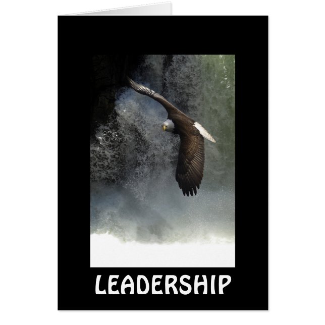 Bald Eagle LEADERSHIP Kaart (Voorkant)