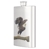 Bald Eagle Leap Flacon (Links)