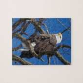 Bald Eagle Legpuzzel (Horizontaal)
