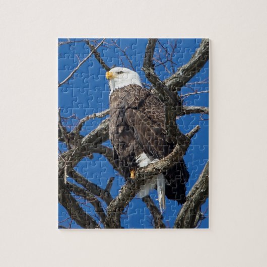 Bald Eagle Legpuzzel (Verticaal)