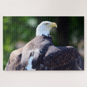 Bald Eagle Legpuzzel
