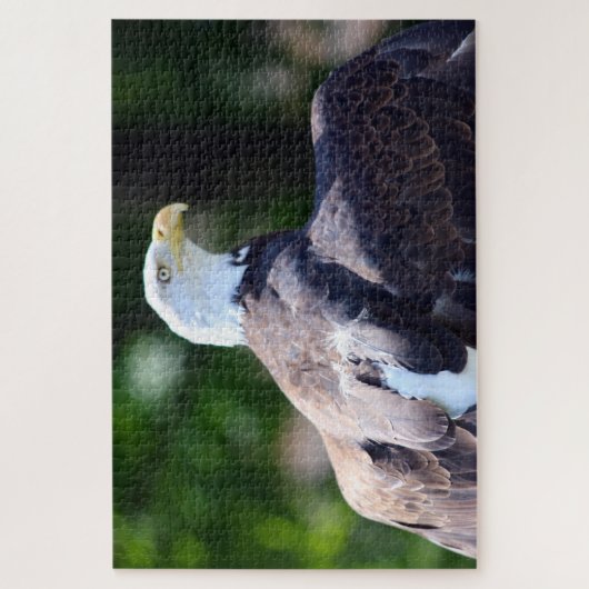 Bald Eagle Legpuzzel (Verticaal)