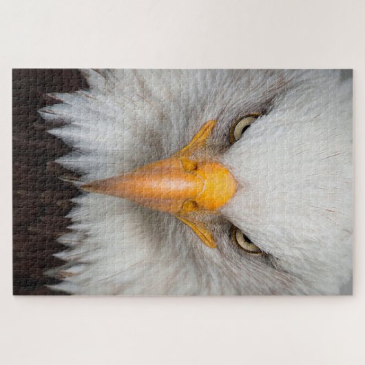 Bald Eagle Legpuzzel (Horizontaal)