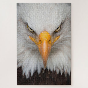 Bald Eagle Legpuzzel