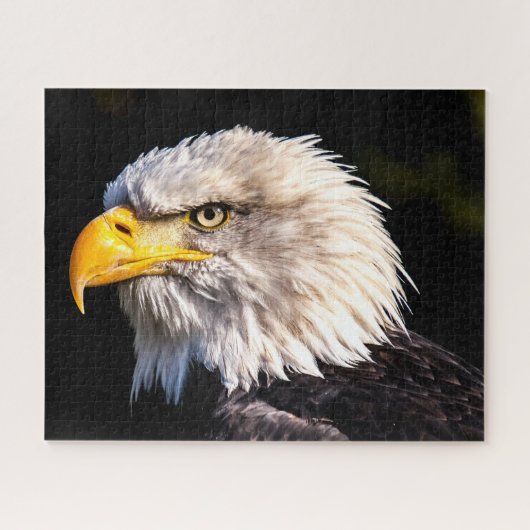 Bald Eagle Legpuzzel (Horizontaal)