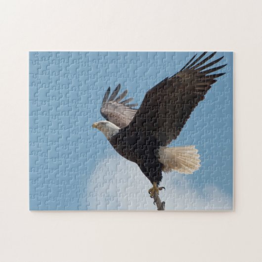 Bald Eagle Lifting Off - Puzzle Legpuzzel (Horizontaal)