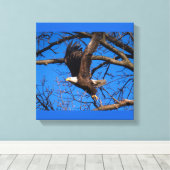 Bald Eagle Liftoff Canvas Afdruk (Insitu (Houten vloer))