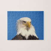 Bald Eagle Look Legpuzzel (Horizontaal)