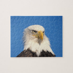 Bald Eagle Look Legpuzzel
