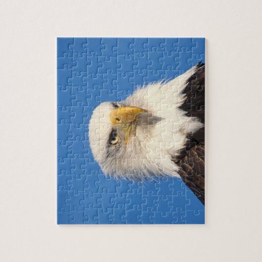 Bald Eagle Look Legpuzzel (Verticaal)