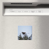 Bald Eagle Magneet (Insitu (Vaatwasser))