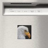 Bald Eagle Magneet (Insitu (Vaatwasser))
