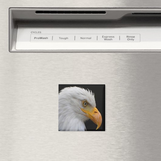 Bald Eagle Magneet (Insitu (Vaatwasser))