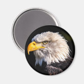 Bald Eagle Magneet (Voorkant / Achterkant)