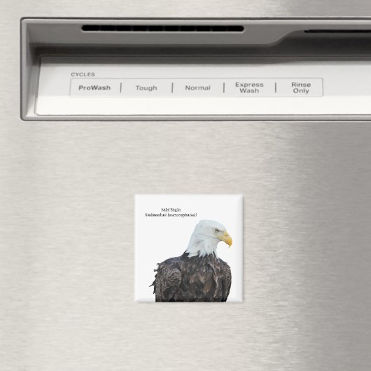 Bald Eagle Magneet (Insitu (Vaatwasser))