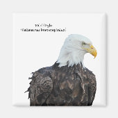 Bald Eagle Magneet (Voorkant)