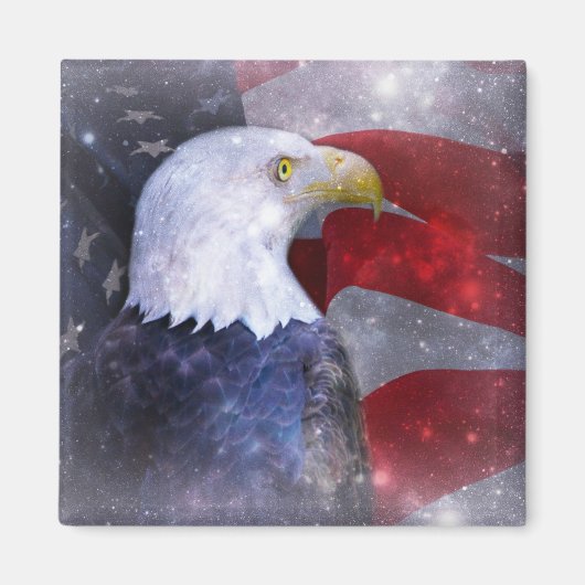 Bald Eagle Magneet (Voorkant)