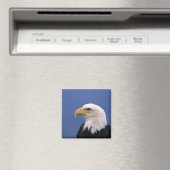 Bald Eagle Magneet (Insitu (Vaatwasser))