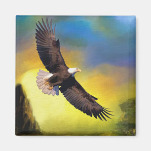 Bald Eagle Magneet