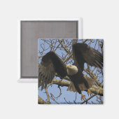 Bald Eagle Magnet (Voorkant / Achterkant)