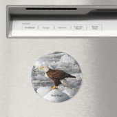 Bald Eagle magnet (Insitu (Vaatwasser))