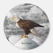 Bald Eagle magnet (Voorkant)